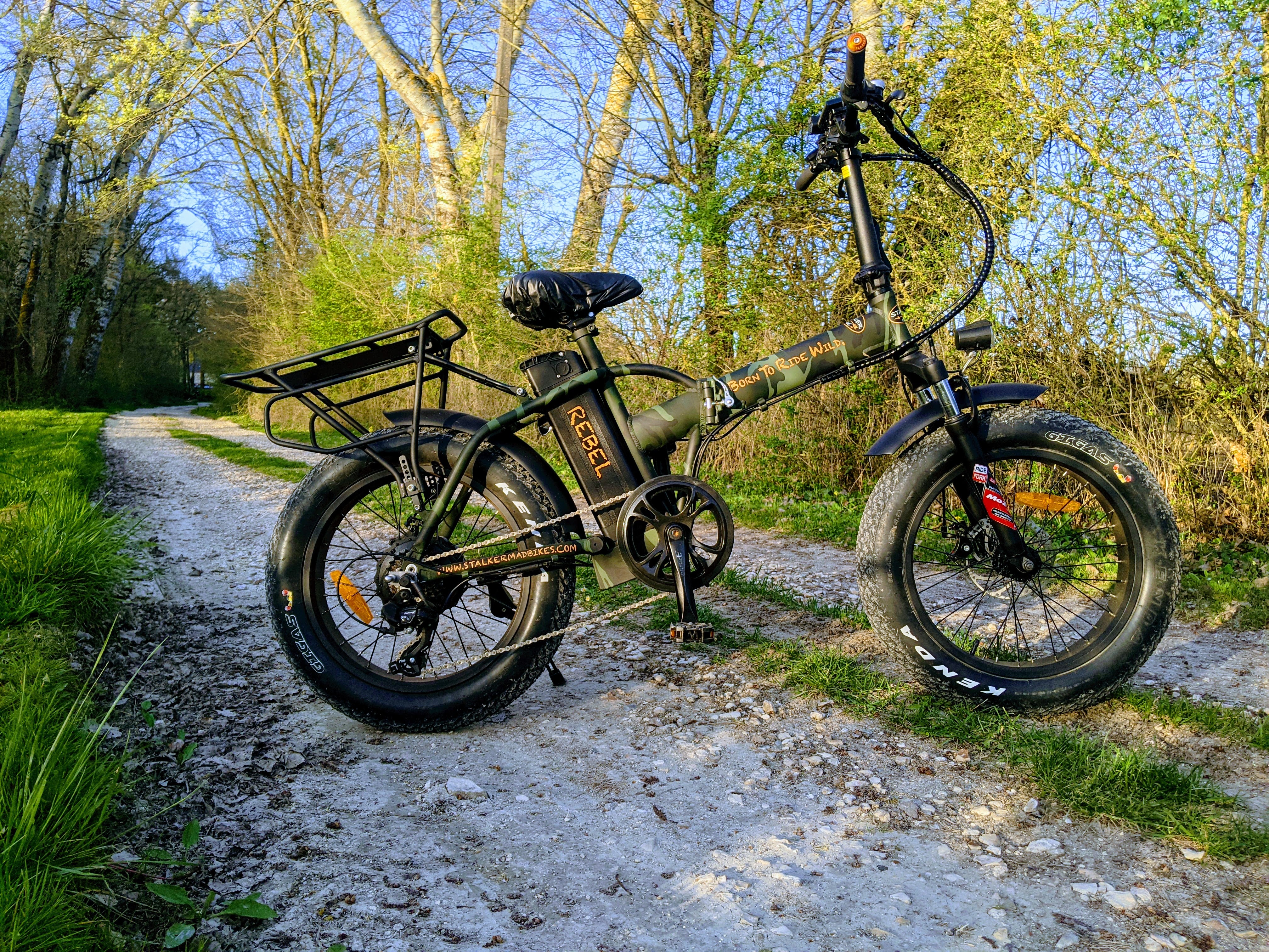 GAZELLE® Remorque Charge 150kg Tout Terrain Fat Bike Électrique Légère